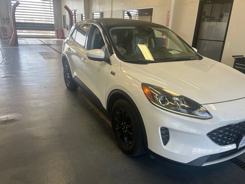Used 2020 Ford Escape SE AWD/4WD image 1
