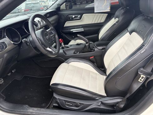 Used 2015 Ford Mustang 50 Years image 4
