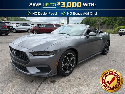 Used 2025 Ford Mustang Premium RWD image 1