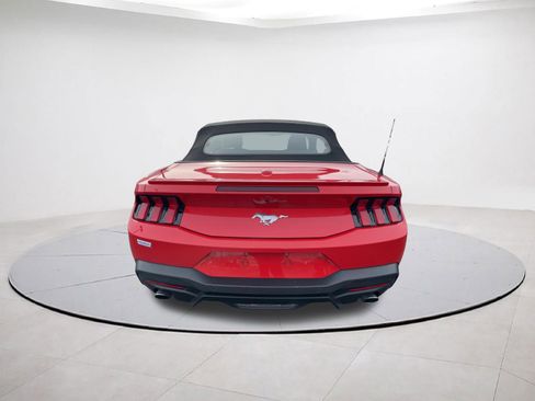 Used 2025 Ford Mustang Premium RWD image 14
