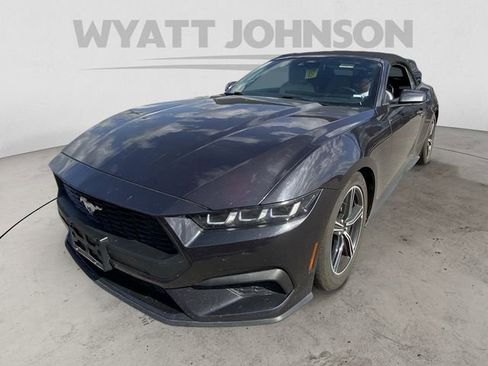 Used 2024 Ford Mustang Premium image 1