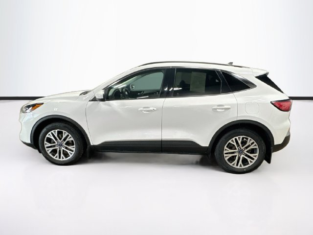 Used 2022 Ford Escape SEL AWD/4WD image 4
