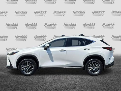 Certified 2025 Lexus NX 350h AWD w/ Accessory Package (2T) image 8