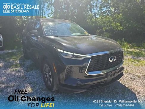 Used 2024 INFINITI QX60 Pure AWD/4WD image 1