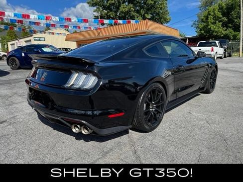 Used 2016 Ford Mustang Shelby GT350 w/ Track Package RWD image 2
