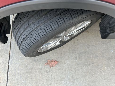 Certified 2018 Toyota RAV4 Limited image 10