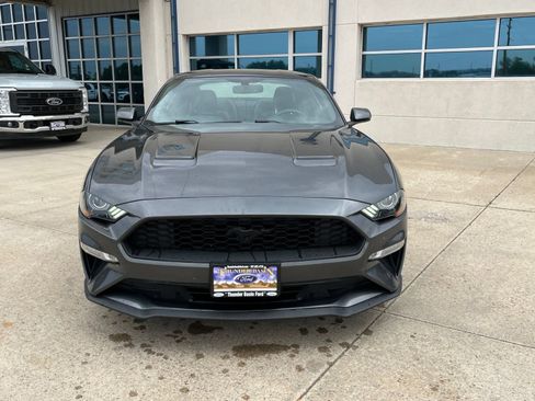 Used 2019 Ford Mustang Premium w/ Equipment Group 201A RWD image 2