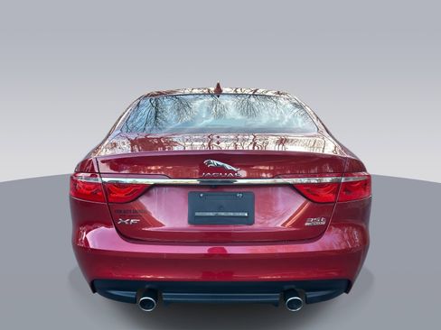 Used 2017 Jaguar XF Premium image 4