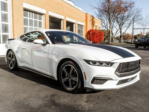 Used 2024 Ford Mustang Premium image 5