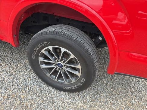Used 2019 Ford F150 XLT w/ Equipment Group 302A Luxury AWD/4WD image 6