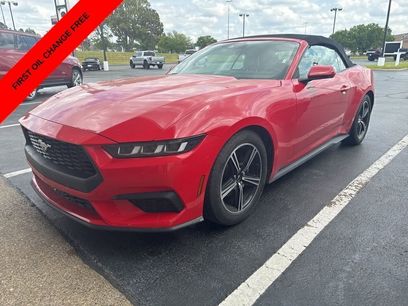 Used 2024 Ford Mustang Premium