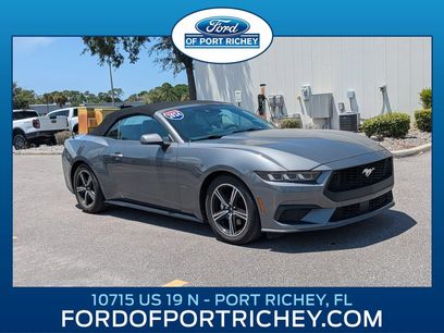 Used 2024 Ford Mustang Premium