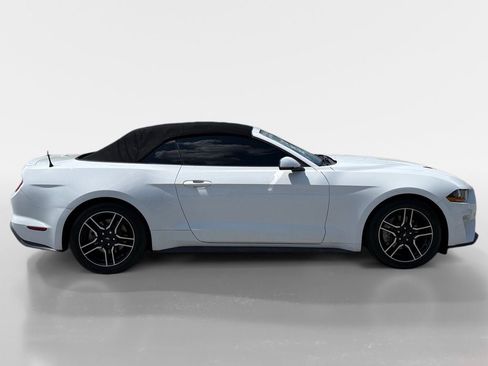 Used 2019 Ford Mustang Premium RWD image 6