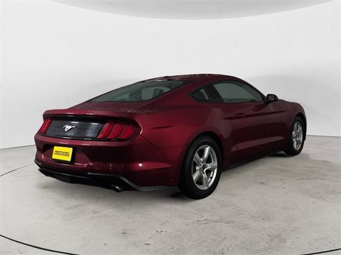 Used 2019 Ford Mustang Coupe image 5