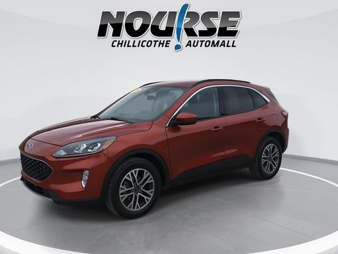Used 2020 Ford Escape SEL AWD/4WD image 4