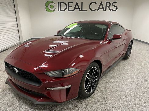 Used 2019 Ford Mustang Premium w/ Equipment Group 201A image 1