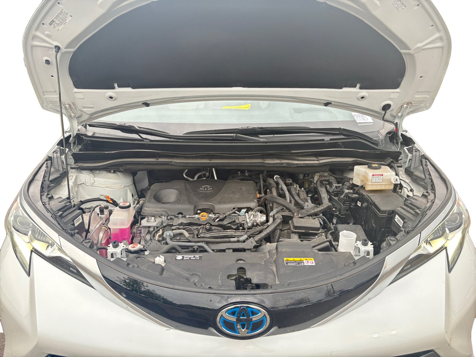 Used 2025 Toyota Sienna Platinum FWD image 24