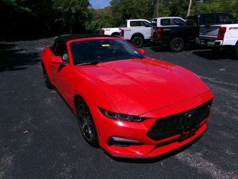 Used 2024 Ford Mustang Premium RWD image 2