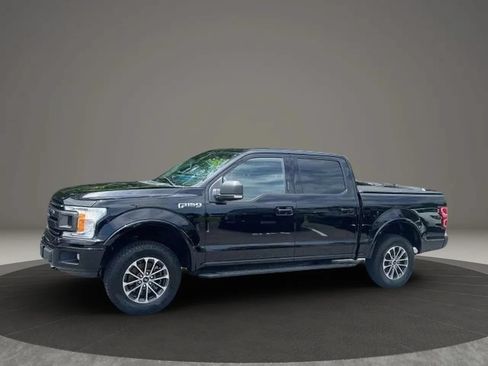 Used 2019 Ford F150 XLT w/ Equipment Group 302A Luxury AWD/4WD image 5