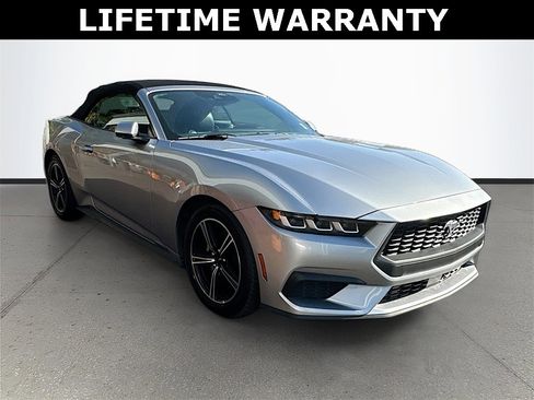 Used 2024 Ford Mustang Premium image 1