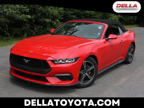 Used 2024 Ford Mustang Premium RWD image 1