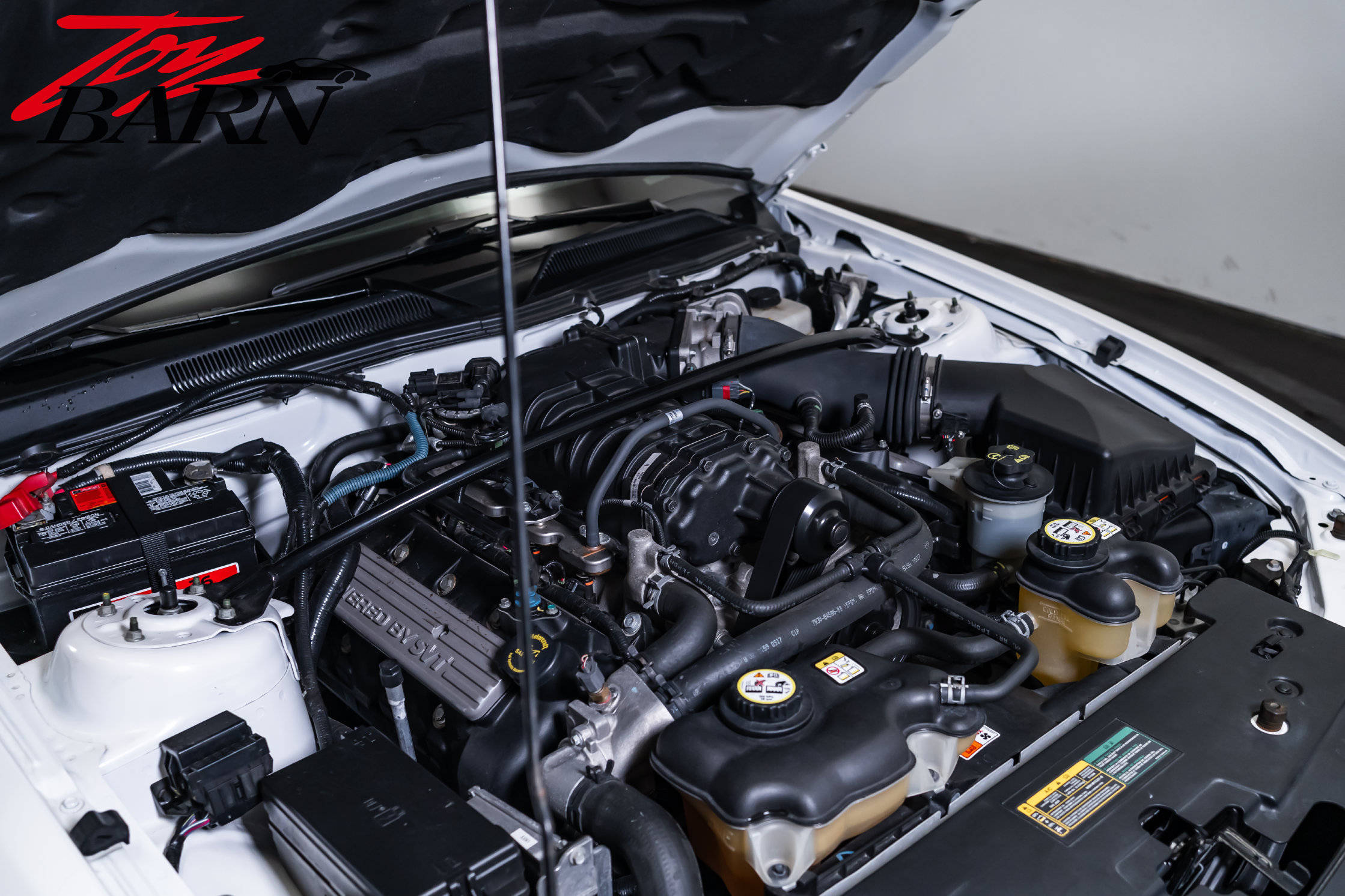 Used 2008 Ford Mustang Shelby GT500 RWD image 43