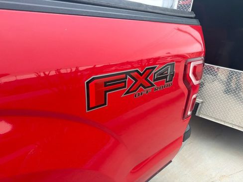 Used 2019 Ford F150 XLT w/ Equipment Group 302A Luxury AWD/4WD image 4