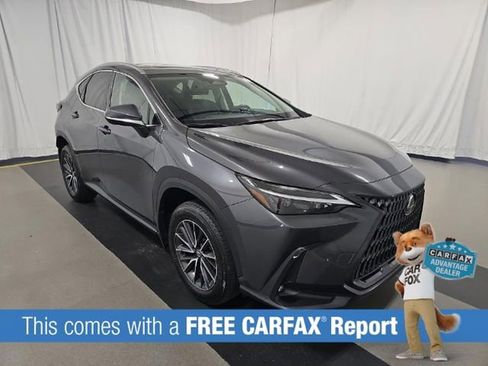 Used 2024 Lexus NX 250 FWD w/ Cold Area Package image 2