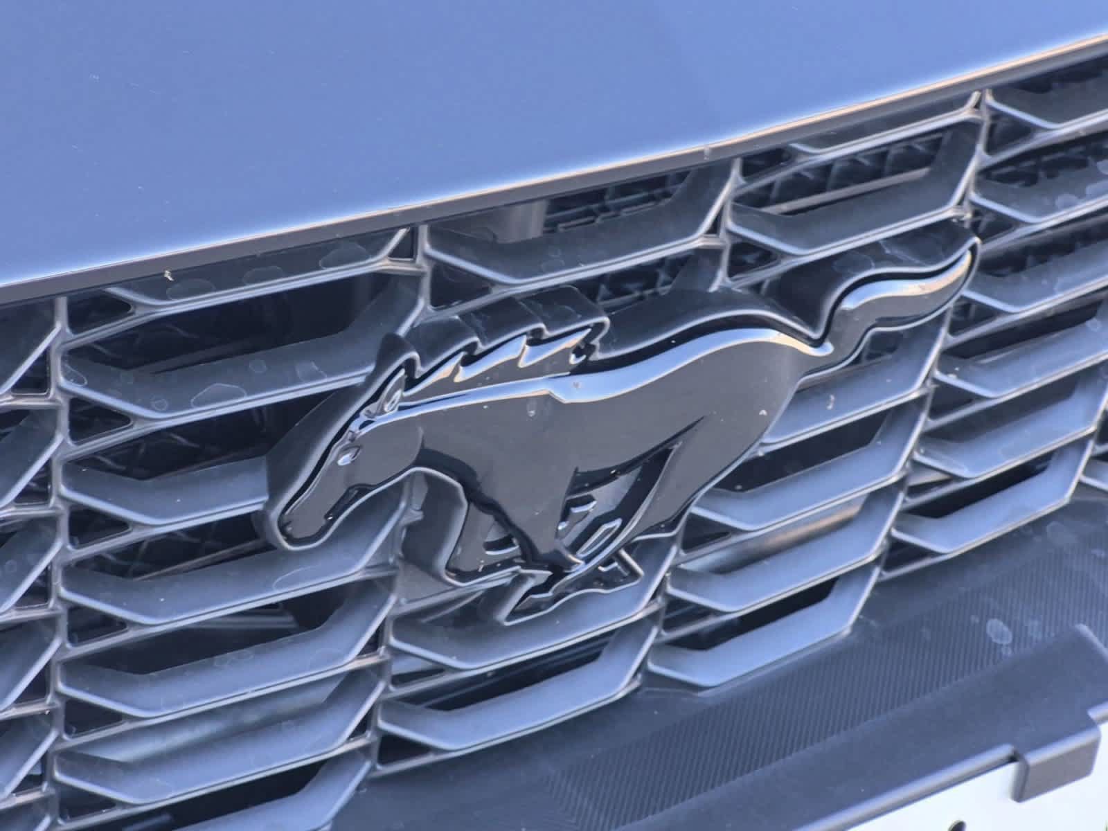 New 2026 Ford Mustang Coupe w/ Mustang Nite Pony Package RWD image 29