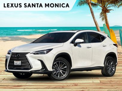 Used 2024 Lexus NX 350 350 Premium