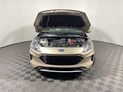 Used 2020 Ford Escape SE image 5