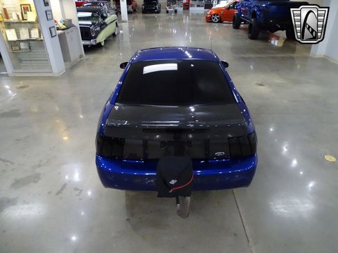 Used 2003 Ford Mustang Cobra image 5