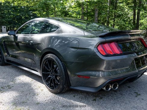 Used 2015 Ford Mustang Shelby GT350 RWD image 6