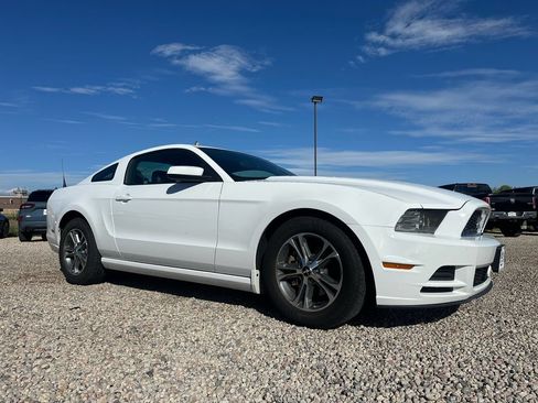 Used 2014 Ford Mustang Premium RWD image 1