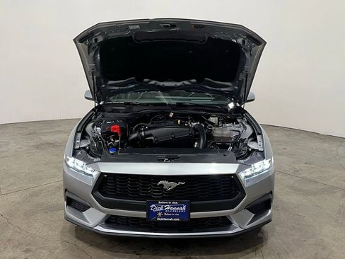 Used 2024 Ford Mustang Premium image 5