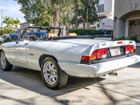 Used 1989 Alfa Romeo Spider Graduate image 6