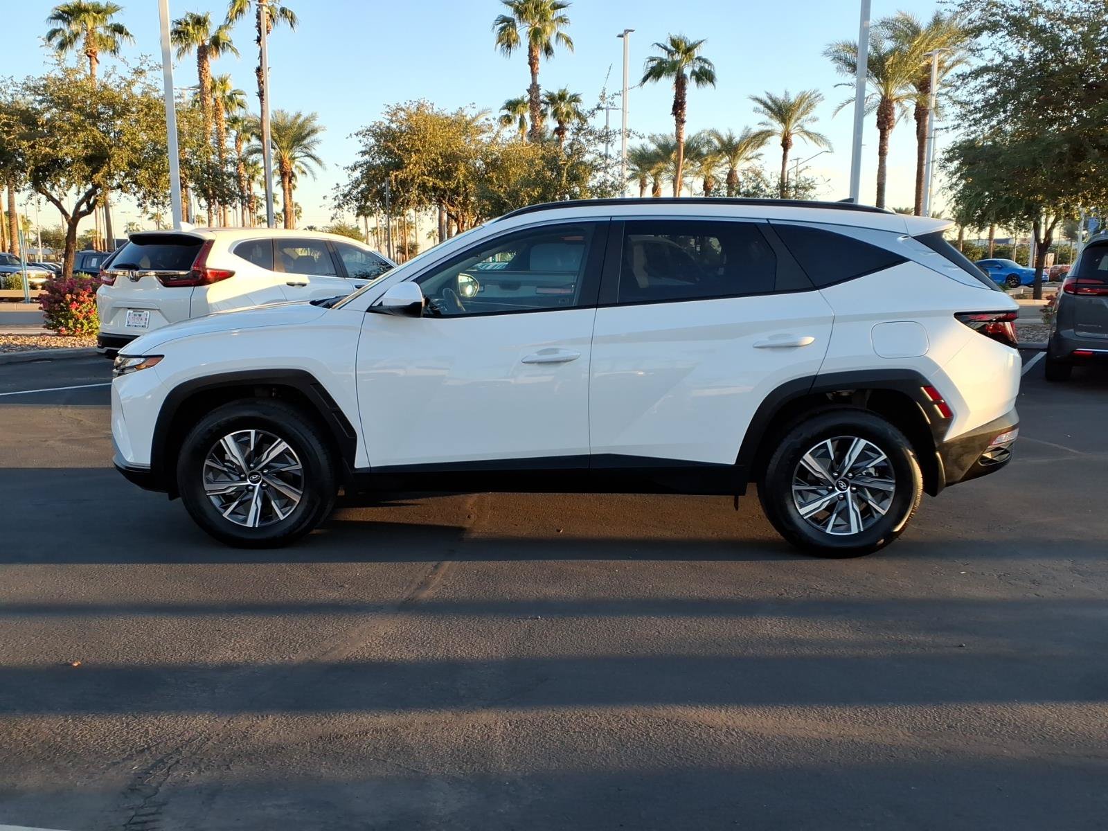 Used 2024 Hyundai Tucson Blue AWD/4WD image 7