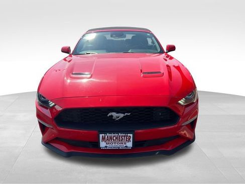 Used 2023 Ford Mustang Premium RWD image 2