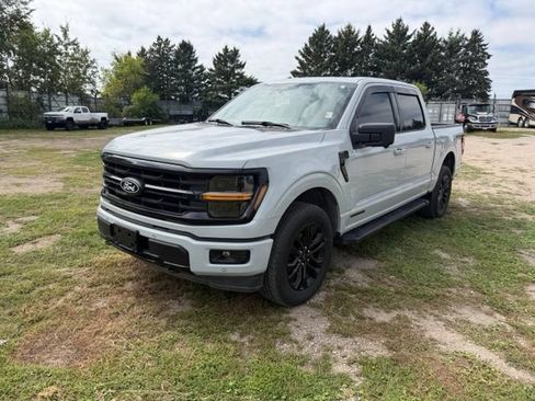 Used 2024 Ford F150 XLT w/ Equipment Group 303A High AWD/4WD image 4