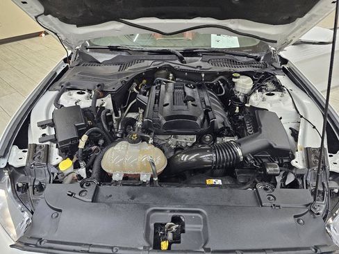 Used 2017 Ford Mustang Premium w/ Equipment Group 201A RWD image 38
