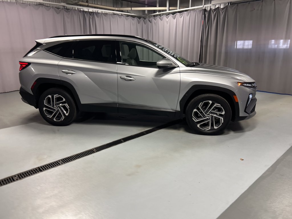 Used 2025 Hyundai Tucson Limited AWD/4WD image 8