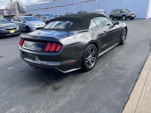 Used 2017 Ford Mustang Premium image 6