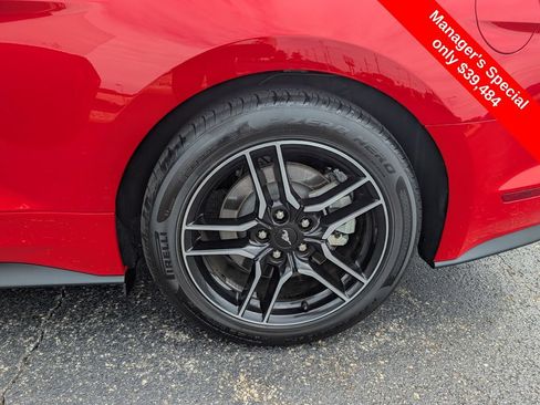 Used 2023 Ford Mustang GT w/ Equipment Group 301A RWD image 20