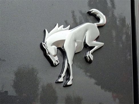 New 2025 Ford Bronco Base image 10