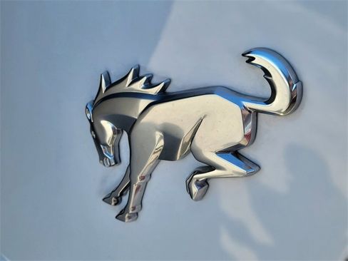 Certified 2023 Ford Bronco Big Bend image 5