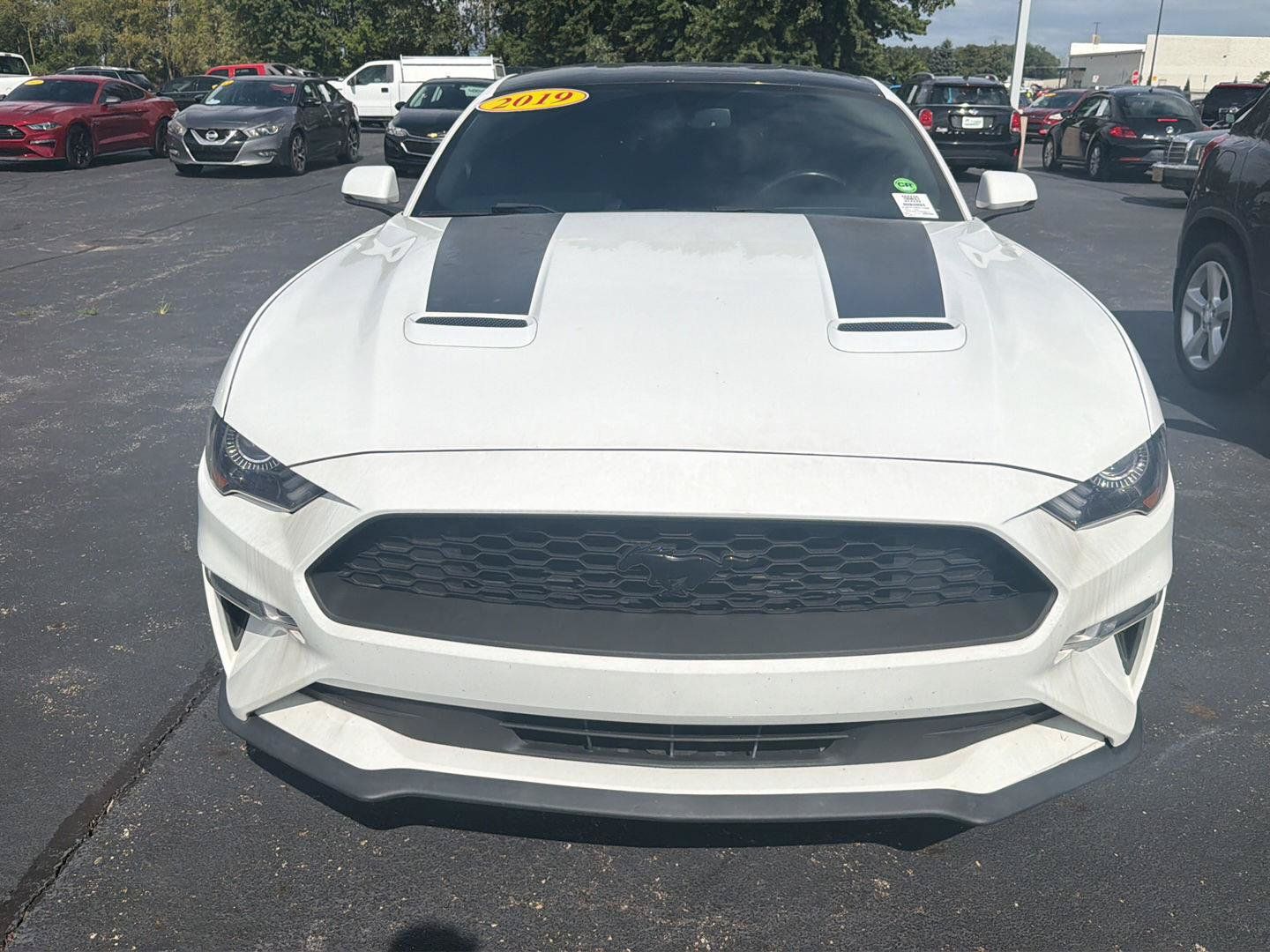 Used 2019 Ford Mustang Premium w/ Black Accent Package RWD image 13