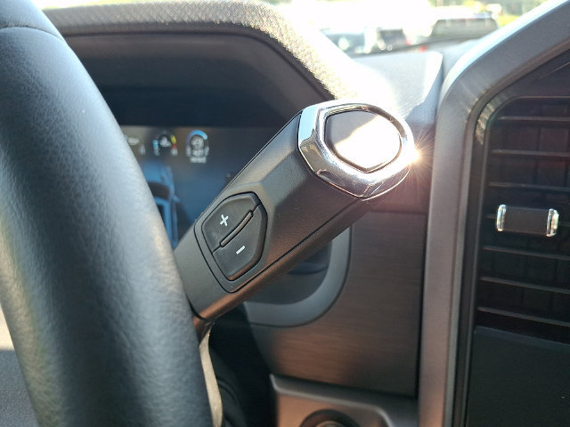 Used 2025 Ford F150 XLT w/ Equipment Group 301A Standard AWD/4WD image 14