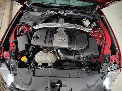 Used 2019 Ford Mustang GT Premium w/ Equipment Group 401A RWD image 4