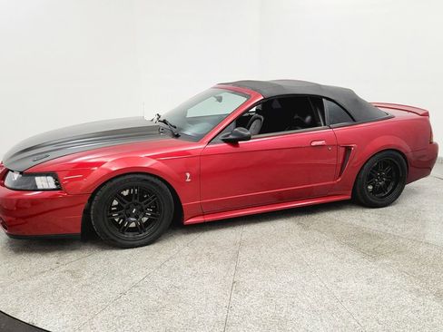 Used 2001 Ford Mustang Cobra image 2