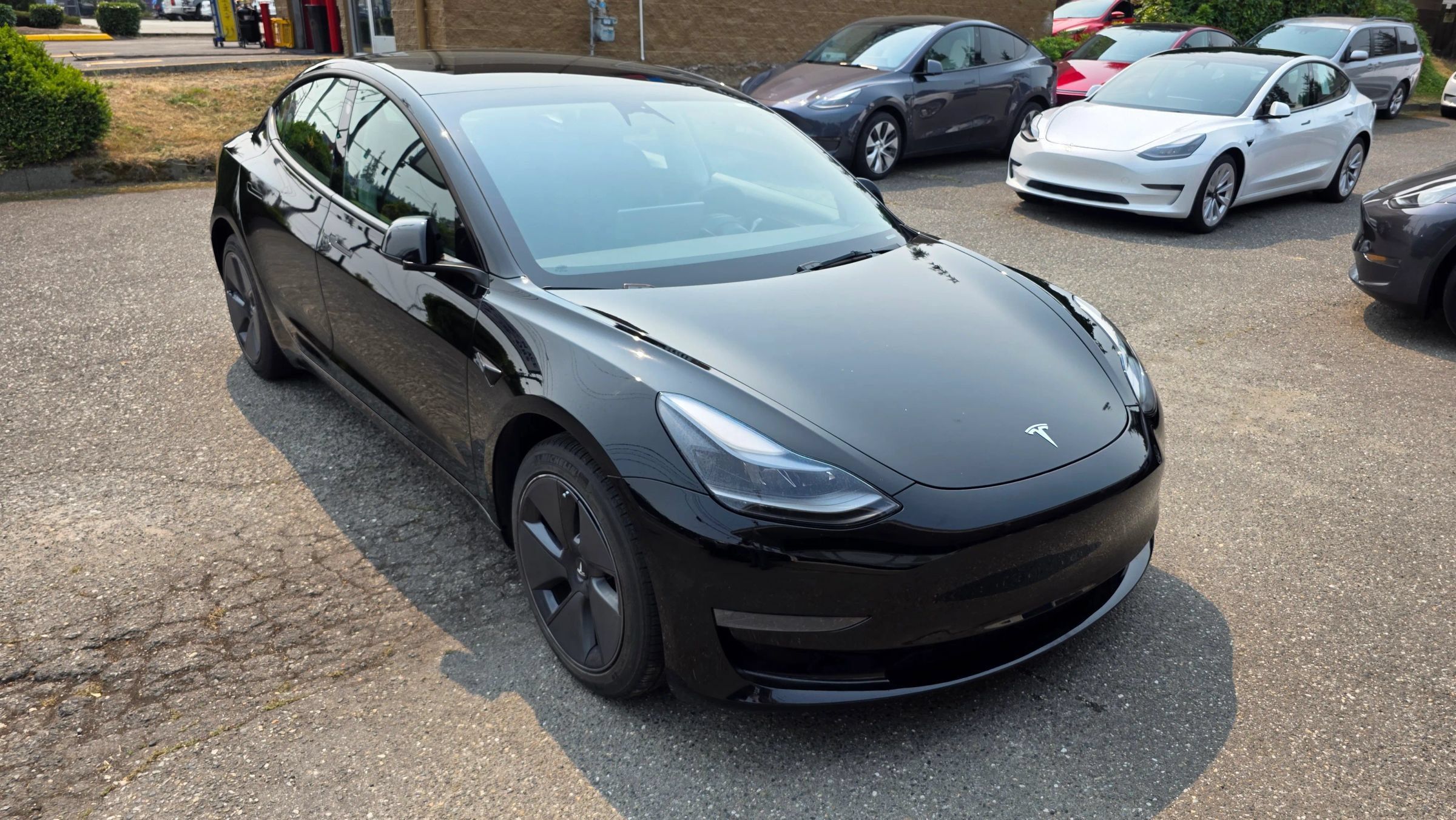 Used 2023 Tesla Model 3 Standard Range RWD image 3